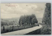 37603 W3450 Silberborn 1907 - Neuhaus Hotel Zum braunen Hirsch Wandern Die Perle von Solling