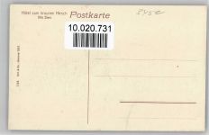 37603 W3450 Silberborn 1907 - Neuhaus Hotel Zum braunen Hirsch Wandern Die Perle von Solling