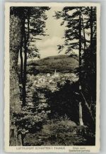 61389 W6384 Schmitten , Taunus