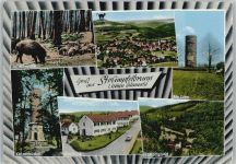 69429 W6935 Strümpfelbrunn - Turm Katzenbuckel Siedlung Wiildschweine