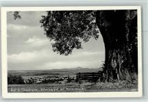 73087 W7325 Boll , Kr Göppingen - Silberpappel mit Hohenstaufen