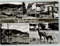 35232 W3563 Holzhausen am Hünstein - Hünstein Pension Schmidt Innenaufnahme Gastraum Waldschwimmbad Reh mit Kitz