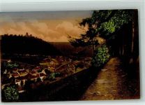 75385 W7264 Bad Teinach - Präsidentenweg