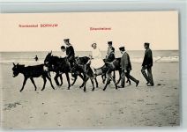 W2972 Borkum Strandreiterei auf Eseln Esel
