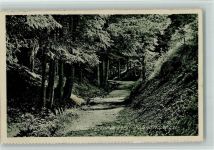 79822 W7820 Titisee-Neustadt - Waldweg