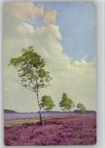AK Heidelandschaft Photochromie Serie 178 Nr. 3120 Natur 1910