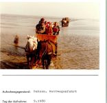 27472 W2190 Duhnen FOTO KEINE AK Foto montiert auf Karton