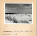 Dünen Foto montiert auf Karton Natur FOTO KEINE AK