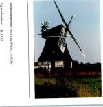 25938 W2270 Wrixum FOTO KEINE AK Windmühle Foto montiert auf Karton
