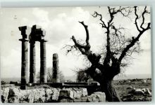 Rhodos Rodi