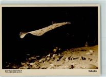 W2940 Wilhelmshaven Nordsee-Aquarium Scholle Fisch