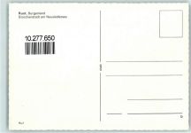 7071 Rust - Storchennester Störche