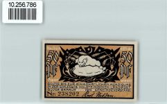 24392 W2347 Süderbrarup - Notgeld 50 Pfennig