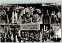 72820 W7419 Erpfingen - Bärenhöhle Innenaufnahmen Bären-Skelett