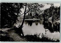 48565 W4430 Burgsteinfurt - Seepartie Schwan