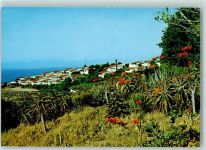 Los Cristianos