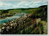 56856 W5583 Zell Mosel - Mosel Weinreben