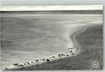 25997 W2284 Hörnum Sylt - Seehundsbank Fliegeraufnahme