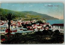 Funchal 1919 - Vue generale