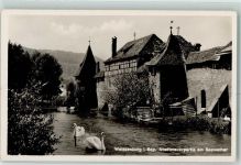 91781 W8832 Weißenburg i Bay - Stadtmauer Seeweiher Schwäne