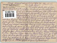 Südamerik. Schwalbenschwanz AK Schmetterling 1945 Künstlerkarte