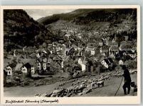78144 W7230 Schramberg - Schäfer mit Schafherde
