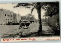 Alger Algier