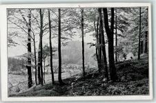 Lausche Gebrauchsspuren Frühling an der Lausche Foto-AK