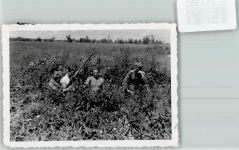 Im Osten 1942 Pause Privatfoto (Militär)