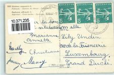 Feldenzian Foto Verlag Gyger AK Alpenflora 1961