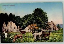 St. Gallen S. Gallo Wildpark Peter und Paul Rotwild Tier