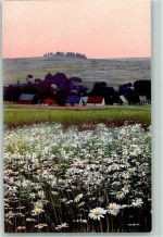 09456 O9313 Mildenau - Magaritenwiese