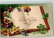 Postkartenalbum Buch Blumen Verlag PFB Serie 5353 AK Serienkarte 1905 Lithographie / Prägedruck
