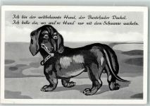 W2150 Buxtehude Weltbekannt Hund, der Buxtehuder Dackel AK Dackel 1956 Gebrauchsspuren