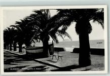 17021 Alassio - Passeggiata a Mare Uferpromenade Palmen Boot Meer