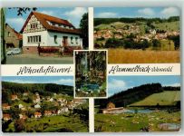 64689 W6149 Hammelbach Foto AK Springbrunnen Schwimmbad