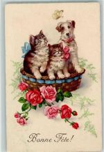Bonne Fete Terrier Schmetterling Rosen AK Katze
