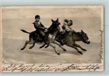 Kinder reiten im Galopp mit einem Esel AK Photogravure Esel 1904