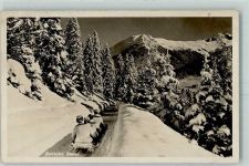 Davos Monstein Bobbahn Bob