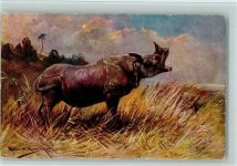 Nashorn AK Müller jun. (München)