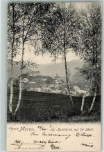 8850 Murau 1904 - Durchblick auf die Stadt