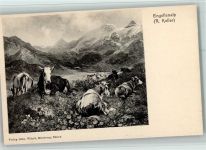 Engstlenalp , Kühe ca 1900 AK Koller, R.