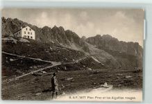 74400 Chamonix-Mont-Blanc - Planpraz et les Aiguilles rouges Wanderer