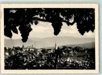 39052 Kaltern Caldaro - Ueberetsch Weinreben
