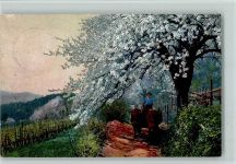 Serie 143 Nr. 2694, Obstblüte in Tirol , gute Erhaltung AK Nenke & Ostermaier