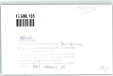 32791 W4937 Hörste , Lippe FOTO KEINE AK Gasthaus zur Sonne Ort handschriftlich