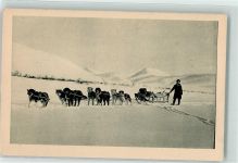 Alaska Hundeschlitten