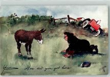 Esel How did you get here Tucks Oilette Nr.9058 Auto Humor Künstlerkarte
