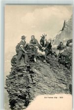Ziege auf hoher Alp Verlag Bergeret Zürich Landwirtschaft Hirte