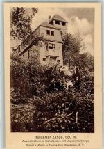 65375 W6227 Hallgarten , Rheingau Foto AK Aussichtstrum Jugendherberge Hallgarter Zange